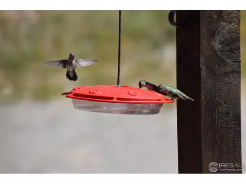 165 Valley Rd, Lyons, CO 80540 photo 16