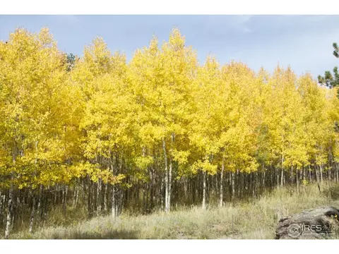 165 Valley Rd, Lyons, CO 80540 photo 15
