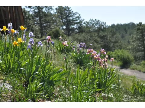 165 Valley Rd, Lyons, CO 80540 photo 22