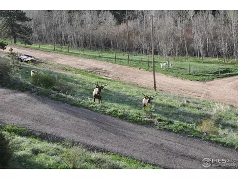 165 Valley Rd, Lyons, CO 80540 photo 21