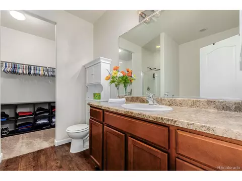 5580 Tumbleweed Ave, Longmont, CO 80504 photo 18
