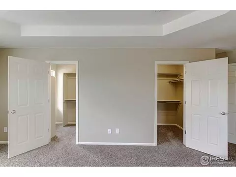 6105 Pryor Rd, Timnath, CO 80547 photo 20
