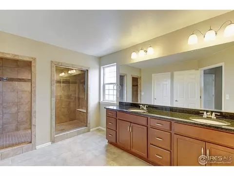 6105 Pryor Rd, Timnath, CO 80547 photo 21