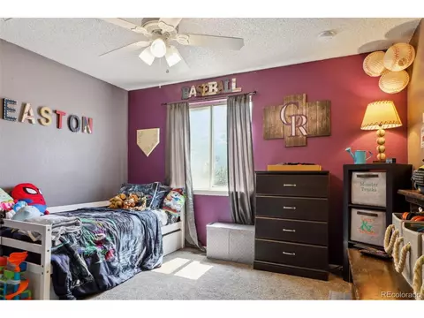 11795 Eudora Ct, Thornton, CO 80233 photo 12