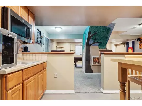 11795 Eudora Ct, Thornton, CO 80233 photo 24