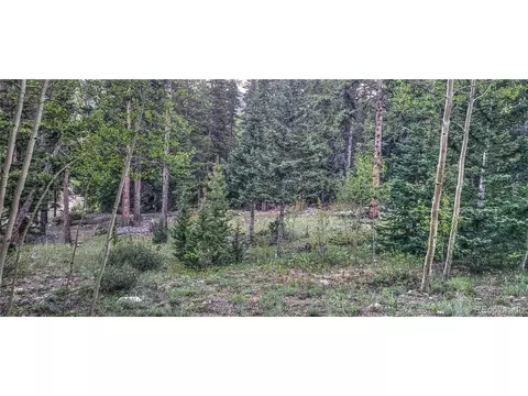 0 Ute Trl, Alma, CO 80420