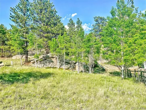 100 Walleye Dr, Lake George, CO 80827