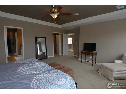 3316 E 141st Pl, Thornton, CO 80602 photo 17