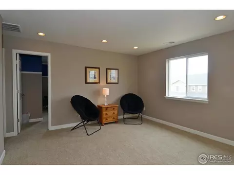 3316 E 141st Pl, Thornton, CO 80602 photo 21
