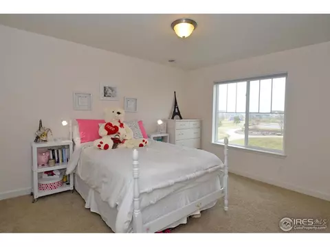 3316 E 141st Pl, Thornton, CO 80602 photo 22