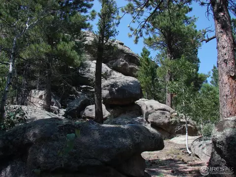 811 Hemlock Dr, Lyons, CO 80540 photo 11