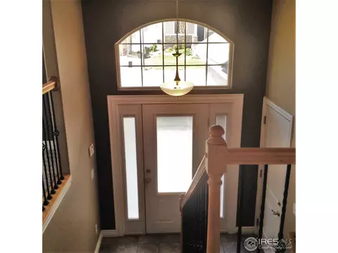 521 Wind River Dr, Windsor, CO 80550 photo 4