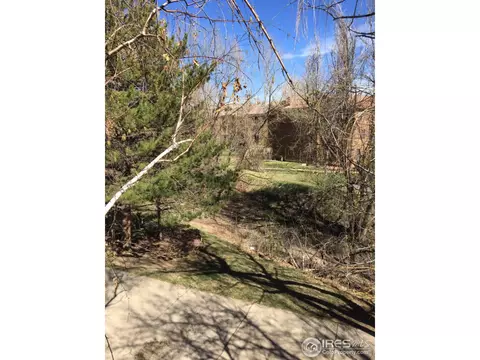 2895 Springdale Ln, Boulder, CO 80303 photo 11