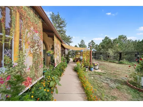 Exterior - 2400 County Road 43, Bailey, CO 80421 photo 2 of 15
