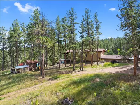 Exterior - 2400 County Road 43, Bailey, CO 80421 photo 9 of 15