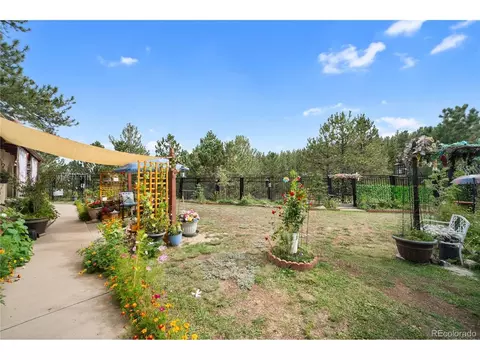 Exterior - 2400 County Road 43, Bailey, CO 80421 photo 3 of 15