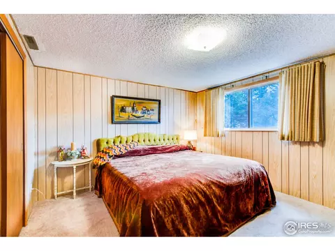 21001 Highway 7, Lyons, CO 80540 photo 19