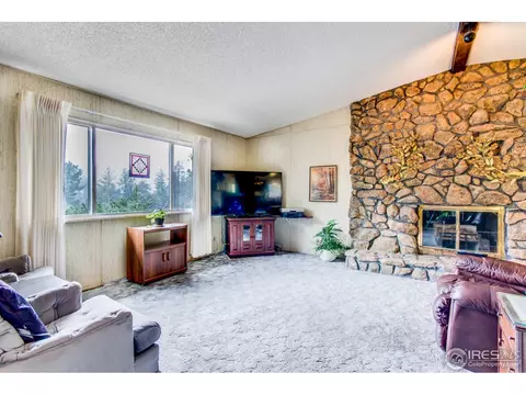21001 Highway 7, Lyons, CO 80540 photo 8