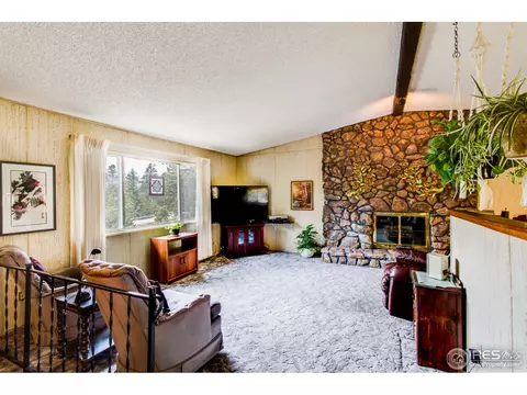 21001 Highway 7, Lyons, CO 80540 photo 10