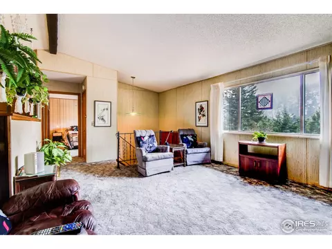 21001 Highway 7, Lyons, CO 80540 photo 6