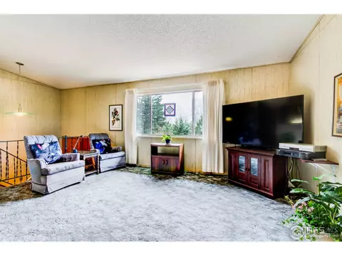 21001 Highway 7, Lyons, CO 80540 photo 7