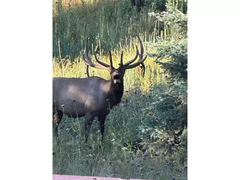 12954 S Ridge Rd, Conifer, CO 80433 photo 22