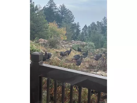 12954 S Ridge Rd, Conifer, CO 80433 photo 23