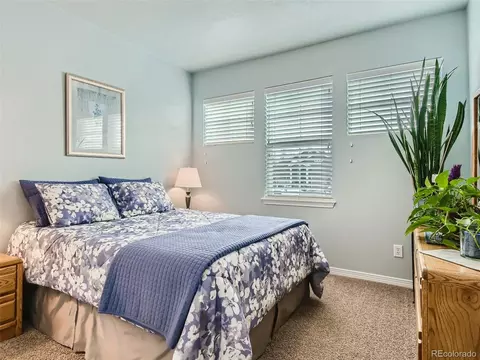 8659 E 148th Cir, Thornton, CO 80602 photo 22