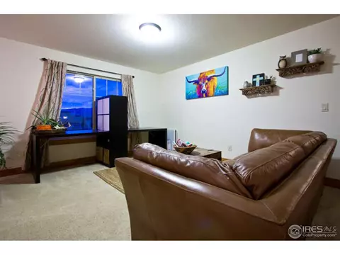 1258 Shelby Dr, Berthoud, CO 80513 photo 19