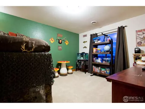 1258 Shelby Dr, Berthoud, CO 80513 photo 21