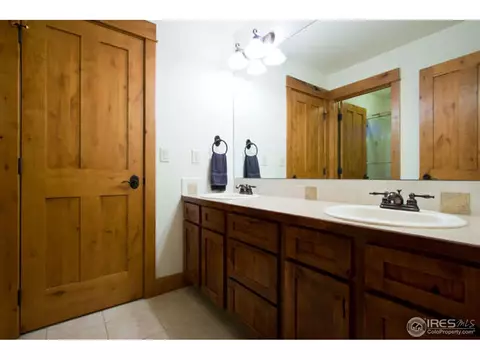 1258 Shelby Dr, Berthoud, CO 80513 photo 23