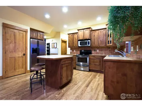 1258 Shelby Dr, Berthoud, CO 80513 photo 10