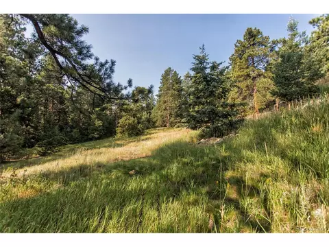 9493 Fox Valley Dr, Morrison, CO 80465 photo 37