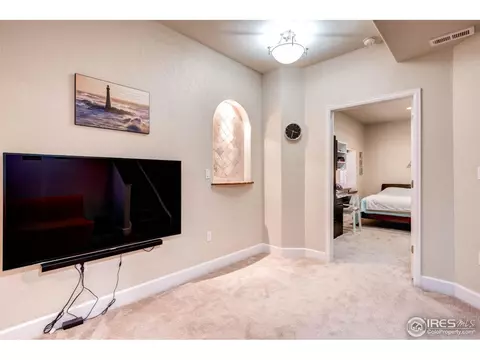 1029 E 96th Pl, Thornton, CO 80229 photo 20