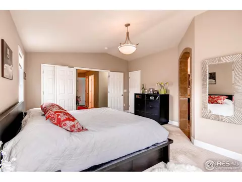 1029 E 96th Pl, Thornton, CO 80229 photo 13
