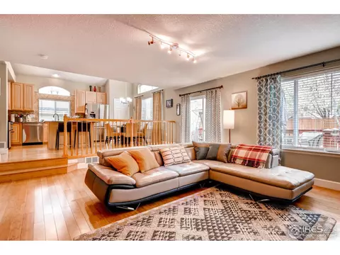 1029 E 96th Pl, Thornton, CO 80229 photo 11