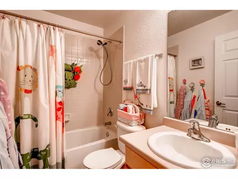 1029 E 96th Pl, Thornton, CO 80229 photo 18