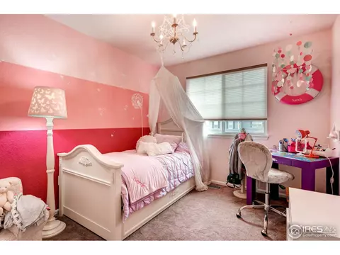 1029 E 96th Pl, Thornton, CO 80229 photo 16