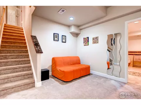 1029 E 96th Pl, Thornton, CO 80229 photo 19