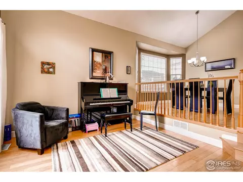 1029 E 96th Pl, Thornton, CO 80229 photo 3