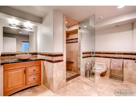 1029 E 96th Pl, Thornton, CO 80229 photo 22