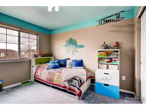1029 E 96th Pl, Thornton, CO 80229 photo 17