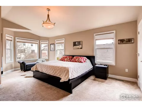 1029 E 96th Pl, Thornton, CO 80229 photo 12