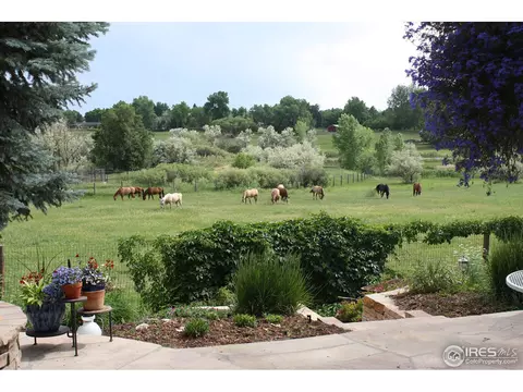 8430 Nelson Ct, Arvada, CO 80005 photo 25