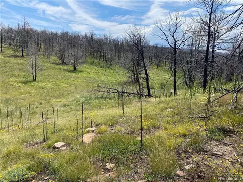 421 Spangle Dr, Fort Garland, CO 81133