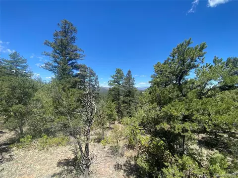 142 17th Trl, Cotopaxi, CO 81223 photo 4