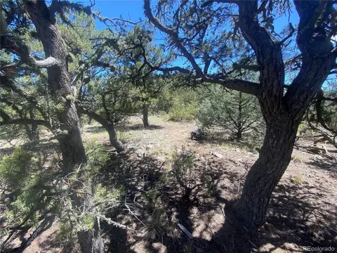 142 17th Trl, Cotopaxi, CO 81223 photo 5
