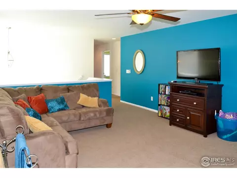 6289 Union Ave, Firestone, CO 80504 photo 5