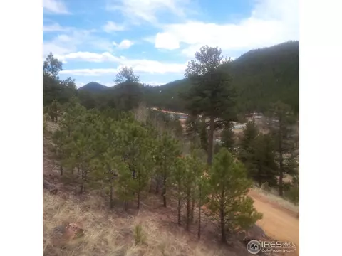 233 Gross Rd, Bailey, CO 80421 photo 7
