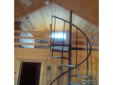 233 Gross Rd, Bailey, CO 80421 photo 20